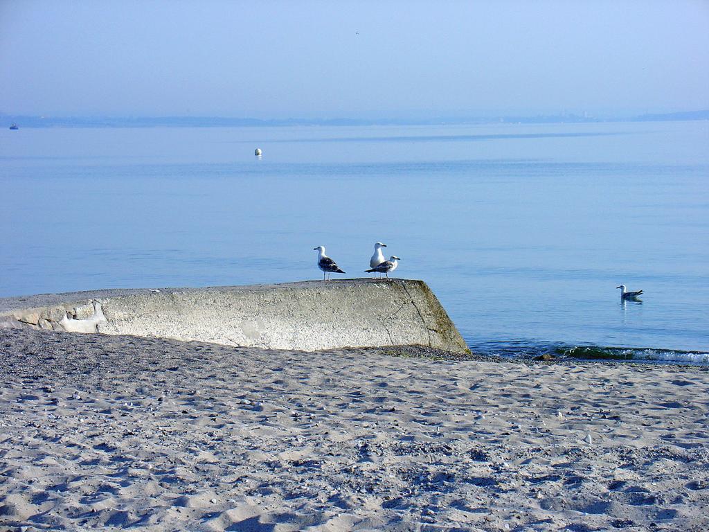 Fewo Machedanz Am Hafen Timmendorfer Strand Ot Niendorf エクステリア 写真